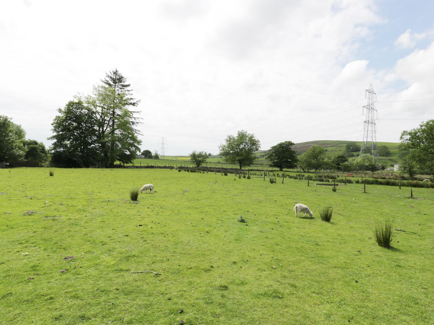 Bwlch Yr Awel Cottage Brynkir Luaran gambar